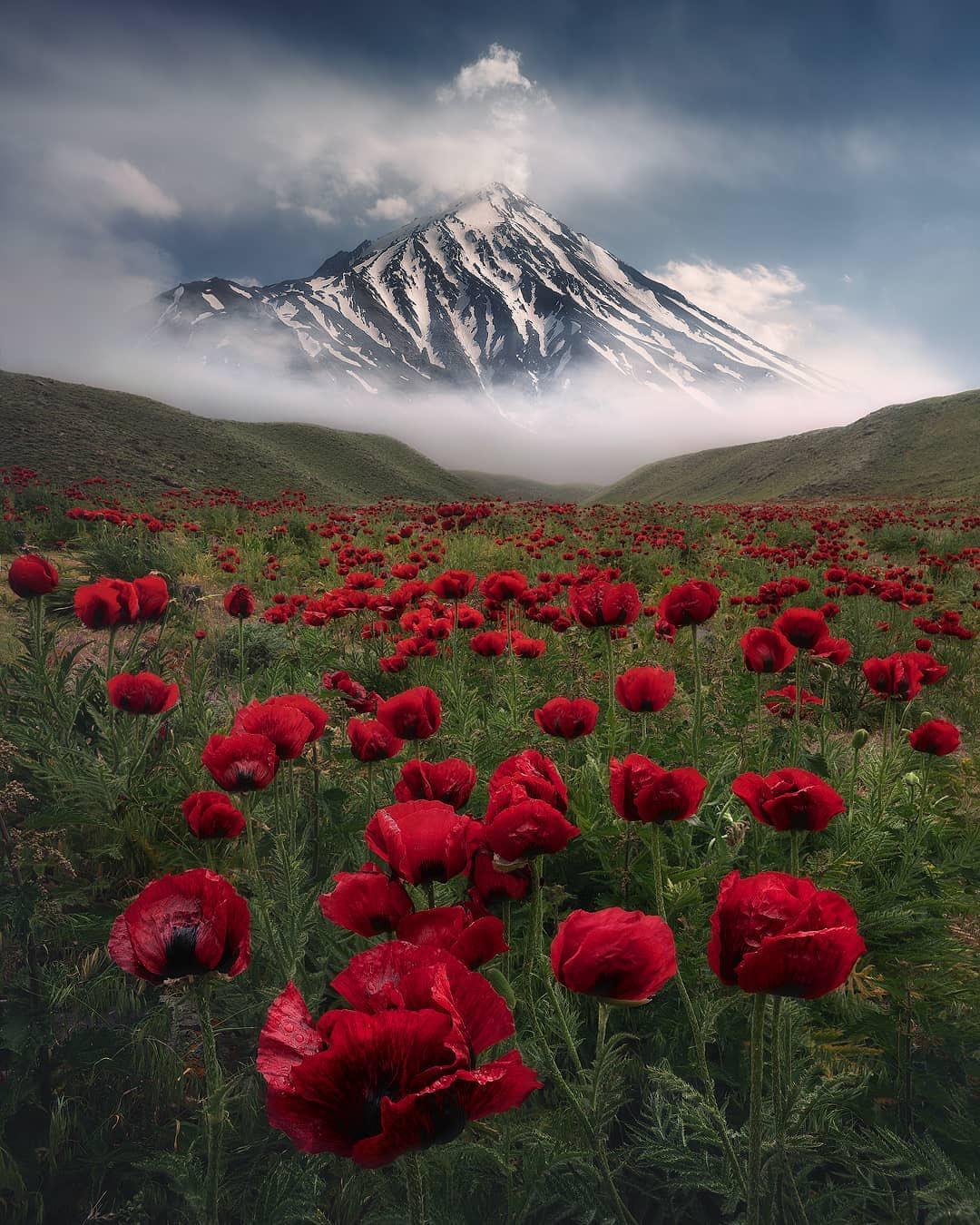 آوای طبیعت 34 damavand peak